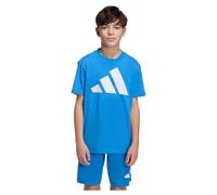 adidas Unisex Kids Essentials Big Logo T-Shirt, ray Blue/White, 15-16 Years