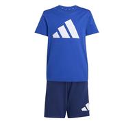 adidas Unisex Kids ESSENTIALS BIG LOGO T-SHIRT SET, team royal blue/white, 7-8 Years