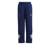 adidas Unisex Kids Marvel Spider-MAN Pants, Dark Blue/Off White, 7-8 Years