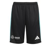 adidas Unisex Kids Mercedes - AMG Petronas Formula ONE Team DNA Short Youth, Black/White, 15-16 Years