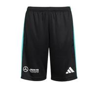 adidas Unisex Kids Mercedes - AMG Petronas Formula ONE Team DNA Short Youth, Black/White, 7-8 Years