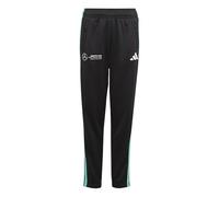 adidas Unisex Kids Mercedes - AMG Petronas Formula ONE Team DNA Sweat TOP Men, Black/White, 11-12 Years