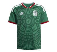Adidas Unisex Kids Mexico 26 Home Jersey, Bold Green, Large