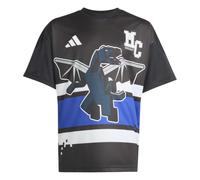 adidas Unisex Kids Minecraft Dragon Graphic Shirt, Black, 13-14 Years
