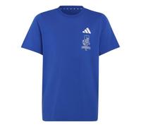 adidas Unisex Kids Minecraft Shirt, Team Royal Blue, 13-14 Years