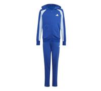 adidas Unisex Kids SEASONAL ESSENTIALS COLORBLOCK TRACKSUIT, team royal blue/glow blue/white, 15-16 Years