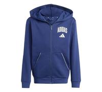 adidas Unisex Kids Seasonals Collegiate Typography Hoody Hooded Sweatshirt