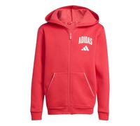 adidas Unisex Kids SEASONALS COLLEGIATE TYPOGRAPHY HOODY, pure ruby/off white, 13-14 Years