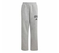 adidas Unisex Kids Seasonals Collegiate Typography Pant, Medium Grey Heather/Black, 13-14 Years