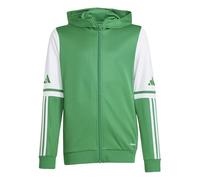 adidas Unisex Kids SQUADRA25 HOODY KIDS team green/white, 7-8 Years