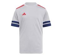 adidas Unisex Kids SQUADRA25 Jersey Short Sleeve Kids, Glory Grey/Team Navy Blue 2/Pure Ruby, 9-10 Years