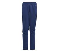adidas Unisex Kids Squadra25 Training Kids Pants, Team Navy Blue 2/White, 13-14 Years