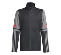 adidas Unisex Kids Squadra25 Training Kids Sweatshirt, black/team grey four/pure ruby, 13-14 Years