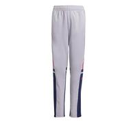 adidas Unisex Kids SQUADRA25 Training Pant Kids, Glory Grey/Team Navy Blue 2/Pure Ruby, 11-12 Years