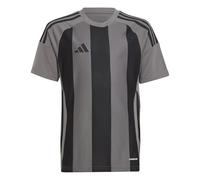 adidas Unisex Kids Striped 24 Jersey Kids Jersey (Short Sleeve) (Pack of 1)