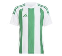 adidas Unisex Kids Striped 24 Jersey Kids, White/Team Green, 11-12 Years