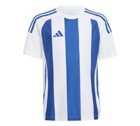 adidas Unisex Kids Striped 24 Jersey Kids, White/Team Royal Blue, 13-14 Years