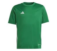 adidas Unisex Kids TABELA 23 JERSEY YOUTH, team green/white, 5-6 Years