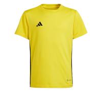 adidas Unisex Kids TABELA 23 Jersey Youth, Team Yellow/Black, 15-16 Years