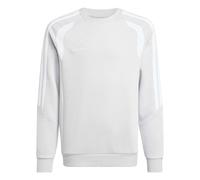 adidas Unisex Kids Tiro 26 League Sweat Crew Kids Sweatshirt, team light grey/white, 9-10 Years
