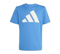 adidas Unisex Kids Train Essentials Big Logo T-Shirt, ray Blue/White, 11-12 Years