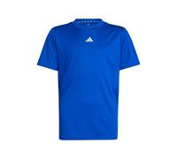 adidas Unisex Kids Train Essentials Logo Regular Fit T-Shirt Junior, Royal Blue/White, 13-14 Years