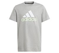 adidas Unisex Kids Unisex Essentials 2 Colored Big Logo Cotton T-Shirt, 7-8 Years