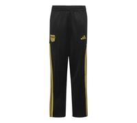 adidas Unisex Kids X Fortnite Pants, Black/Gold met., 9-10 Years