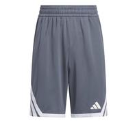 adidas Unisex Kids Y Everyday Pro Bball Short Shorts, Team Onix/White, 5-6 Years