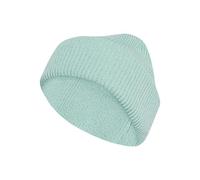 adidas Unisex Terrex Multi Beanie, Semi Flash Aqua, L