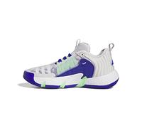 adidas Unisex Trae Unlimited Shoes, Dash Grey/Cloud White/Lucid Blue, 5.5 UK