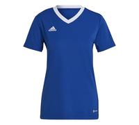 adidas Women's Entrada 22 Jersey, Royal Blue, XXS