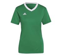 adidas Women's Entrada 22 Jersey, Team Green/White, S