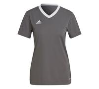 adidas Women's Entrada 22 Jersey, Team Grey Four, M