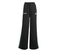 MERCEDES - AMG PETRONAS FORMULA ONE TEAM DNA PANT