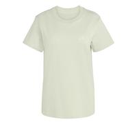 adidas Women's Terrex Mountain Graphic Tshirt, Halo Green, S