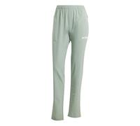 adidas Women's Terrex Multi Essentials Stretch Pants, Silver Green, M