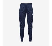 Adidas Tiro23l Trw Pants Blue XL / Regular Woman