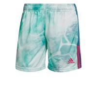 adidas Women's Tiro Shorts, Altered Blue/Mint Rush/White, X-Large