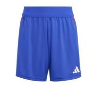 Adidas Tiro 24 Competition Training Shorts Blue M / Regular Woman