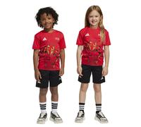 Adidas X Marvel Ironman Tee Set