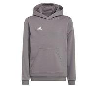 adidas Youth Entrada 22 Training Hoody, Grey, Size 15-16 Years Grey