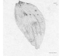 Adiel - If Not Now When? [VINYL]