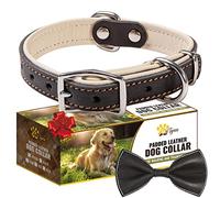 ADITYNA Heavy-Duty Black Leather Dog Collar for Small Dogs - Soft Padded for Comfort - Small Dog Collar for Walking, Training, and Hiking