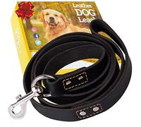 ADITYNA - Heavy Duty Leather Dog Leash 6 Foot - Strong and Soft Leather Leash for Extra Large, Large and Medium Dogs - Dog Training Leash (XL - 6 ft x 1 inch, Black)