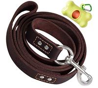 ADITYNA Heavy Duty Leather Dog Leash 6 ft x 1 inch - Strong, Soft Training Lead for Large & Extra Large Breeds (XL - 6 ft x 1 inch, Brown)