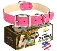 ADITYNA Heavy-Duty Pink Leather Dog Collar for Extra-Large Dogs - Soft Padded for Comfort - Big Girl Dog Collar for Walking, Training, and Hiking