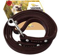 ADITYNA - Premium Leather Dog Leash - 6 ft, Heavy-Duty, Soft & Strong for Small/Medium Dogs - Perfect for Walking, Training, Hiking, and Running (Small: 6 ft x 1/2", Brown)