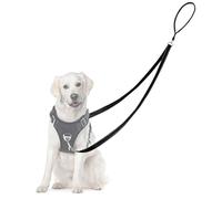 Adiwo Two Point Control Dog Leash, Professional Anti-Pull Dog Lead with Reflective Stitching and Soft Padded, Works with No Pull Harnesses, Easy to Convert to Single Lead for Small Medium Dogs(Black)