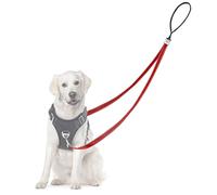 Adiwo Two Point Control Dog Leash, Professional Anti-Pull Dog Lead with Reflective Stitching and Soft Padded, Works with No Pull Harnesses, Easy to Convert to Single Lead for Small Medium Dogs (Red)
